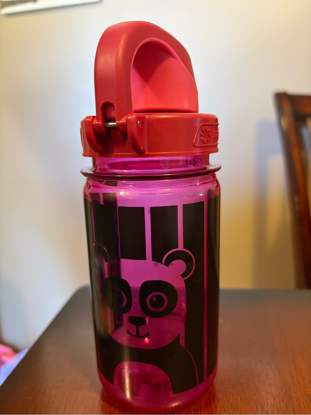 Kids Pink Panda Water Bottle with Flip Lid